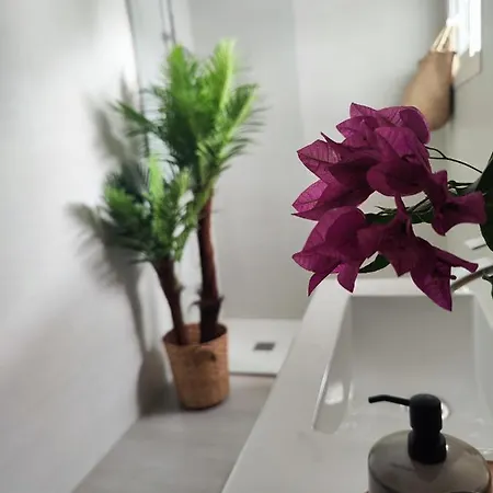 Calma Apartament Playa Honda (Lanzarote)